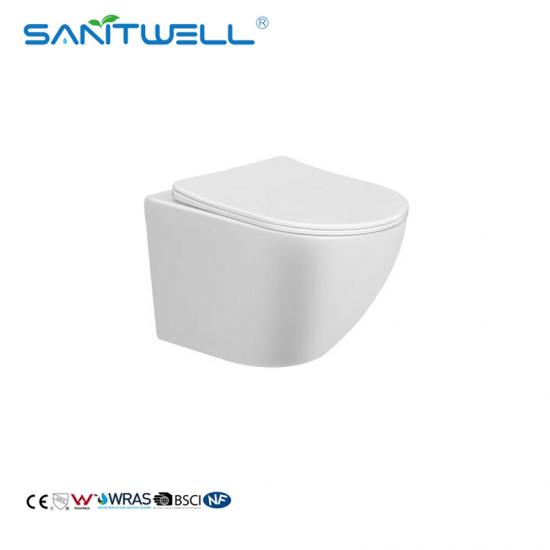 rimless wall hung toilet