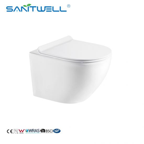 wall mounted toilet