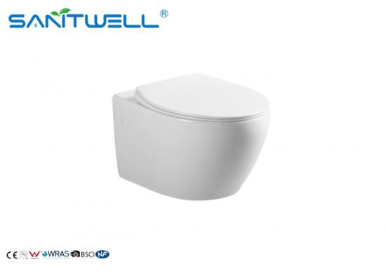 wall mounted toilet