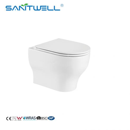 wall mounted toilet