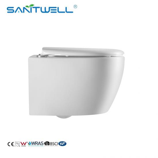 wall mounted toilet