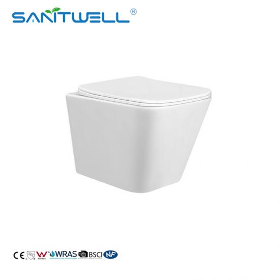 wall mounted toilet