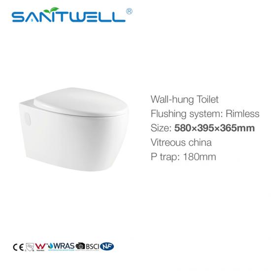 wall mounted toilet