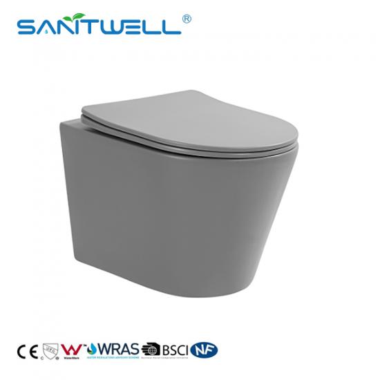 wall hung toilet