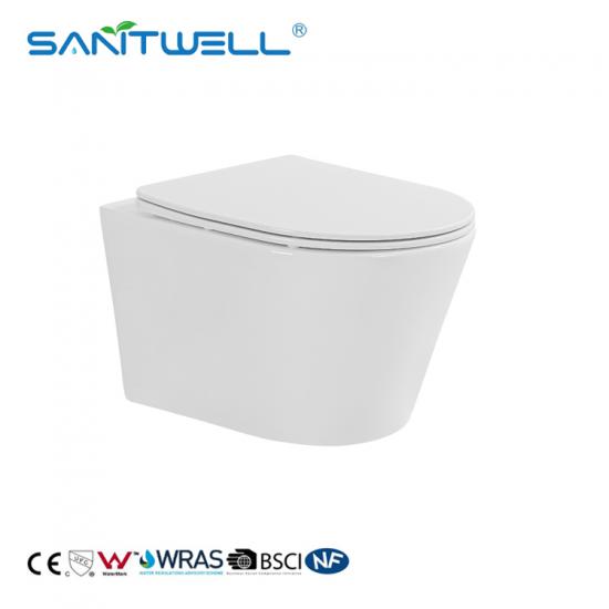 wall hung toilet