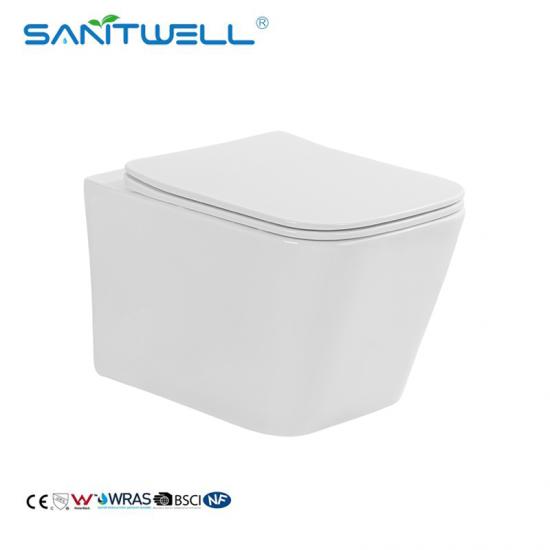 wall hung toilet