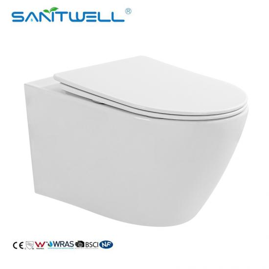 wall hung toilet