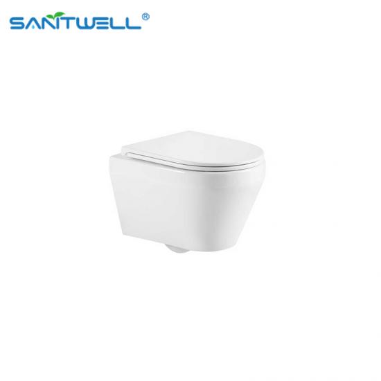 wall hung toilet