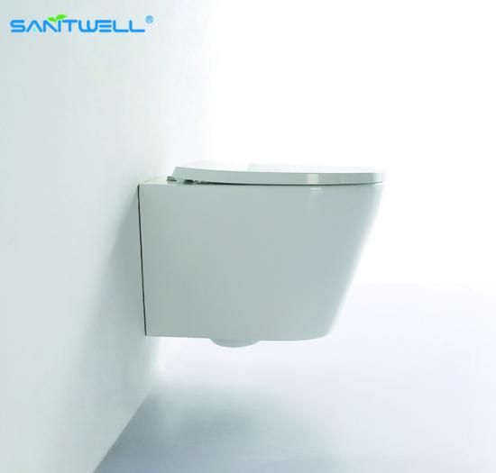 Wall hung toilet