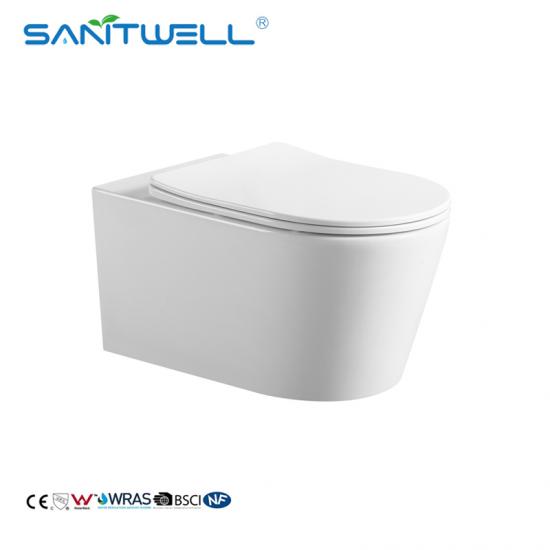 Wall hung toilet